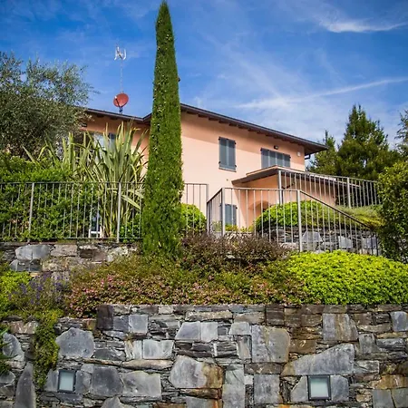 Rosmarino * بيلاجيو